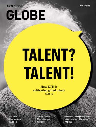 Globe Rock Print