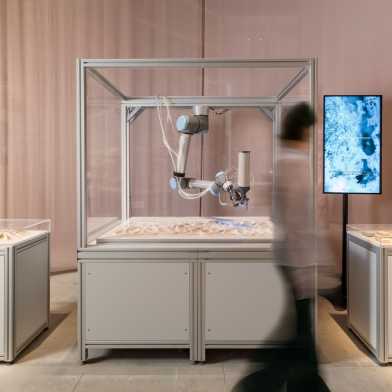 Geological Microbial Formations, Exhibit at Venice Biennale 2025, Material Bank, Arsenale, Venice.