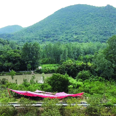 Canopy made of bamboo and red woven geotextile.